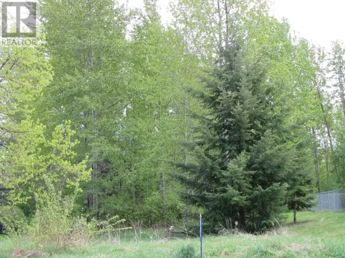 4068 BARNES DRIVE, Prince George