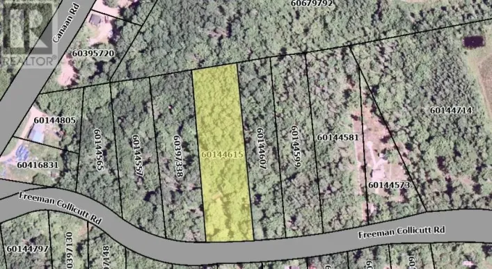 41 Freeman Collicutt Road, Canaan