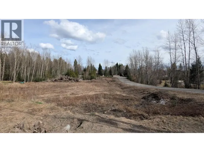 4114 BALSUM ROAD, Prince George