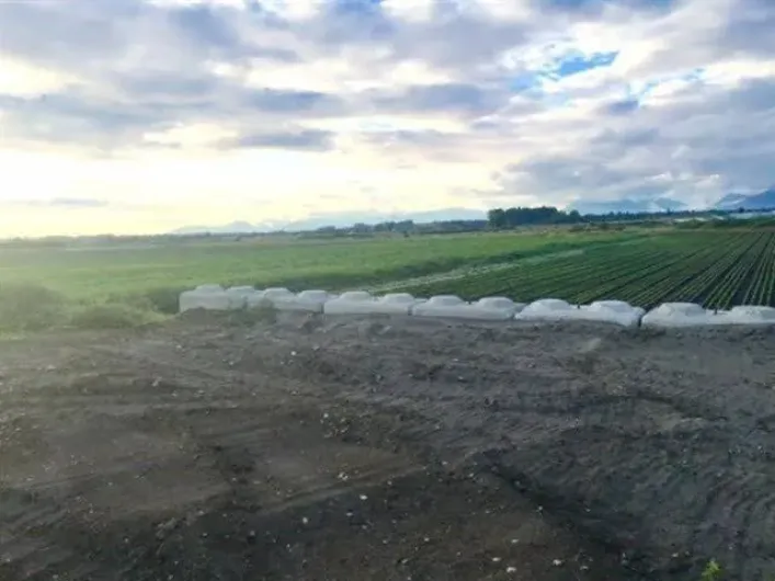 4179 176 STREET, Surrey