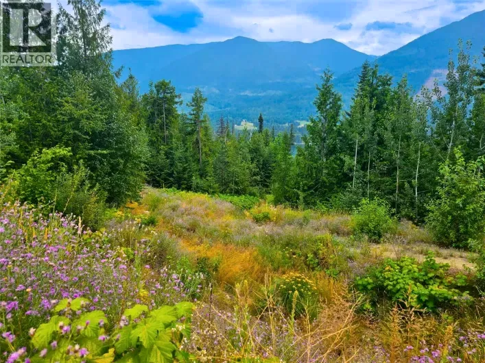 Other for sale: 421 MOUNTAIN VIEW Drive, Balfour