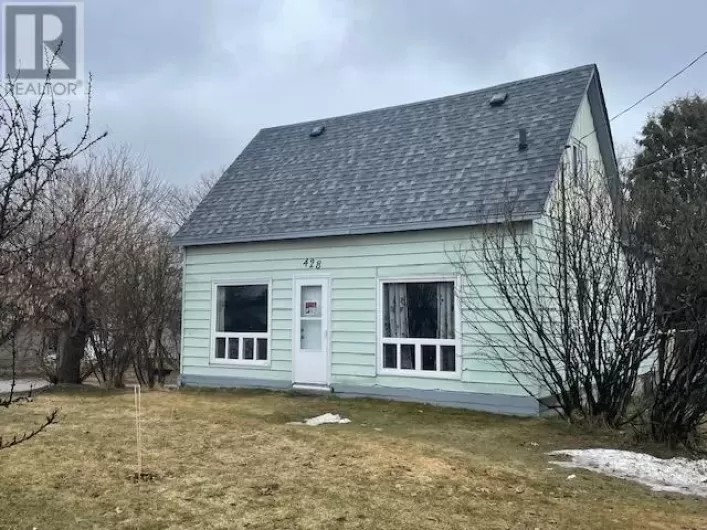 424 & 428 Government ST, Dryden