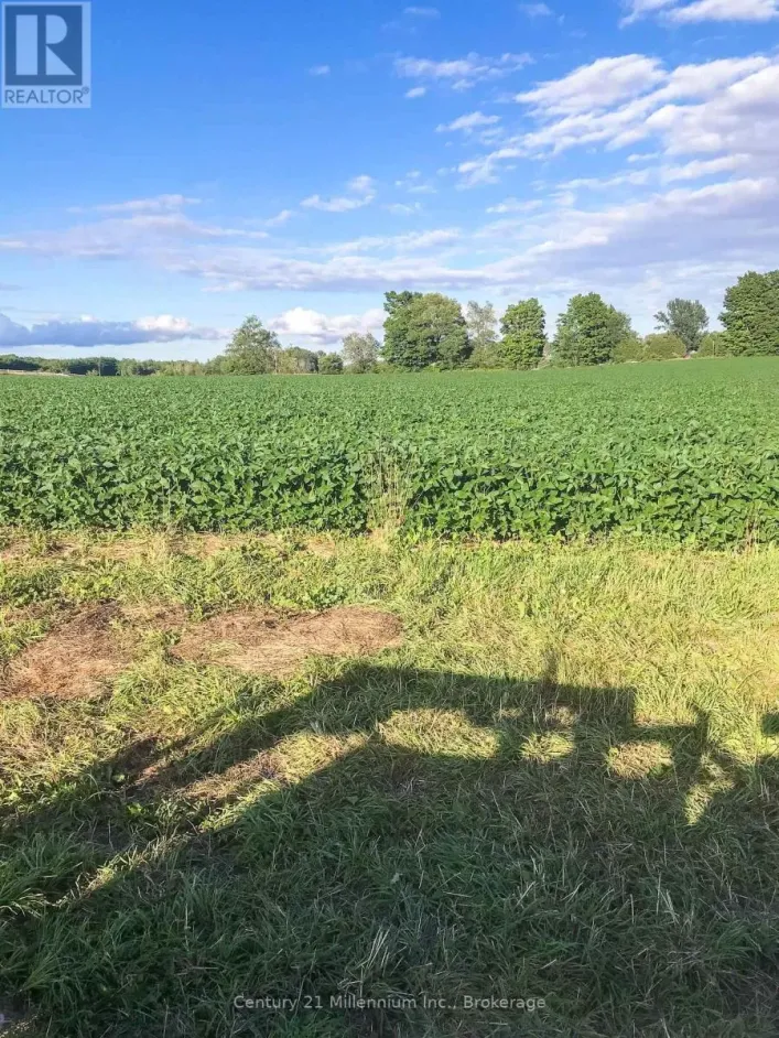 425158 IRISH LAKE ROAD, Grey Highlands