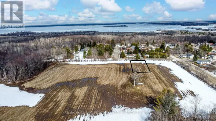 426 SEVENTH AVENUE, Tay