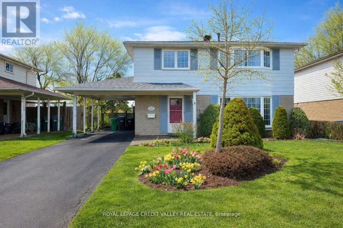 43 BENTON STREET, Brampton