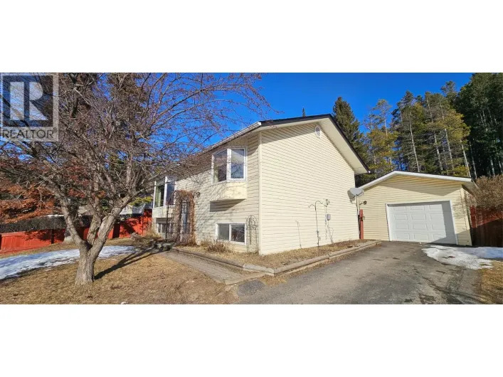 432 White Birch Crescent, Sparwood