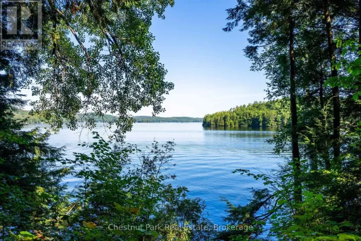 4339 MUSKOKA ROAD 117 ROAD, Lake of Bays