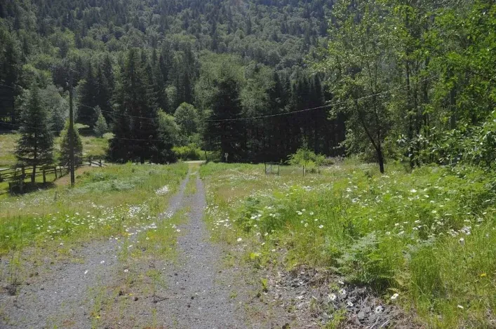 43751 FROST ROAD|Columbia Valley, Columbia Valley