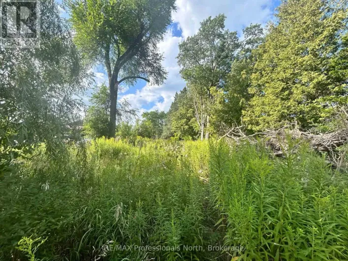 4437 HIGHWAY 7, Kawartha Lakes