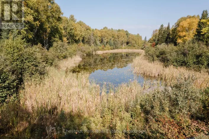 445 FOX RUN, Temagami