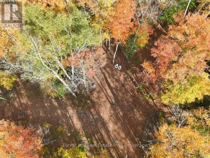 4488 KAWAGAMA LAKE ROAD, Algonquin Highlands