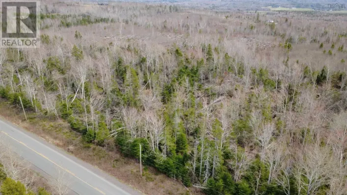 ~4.5 Acre Lot Black River Road, Meadowville