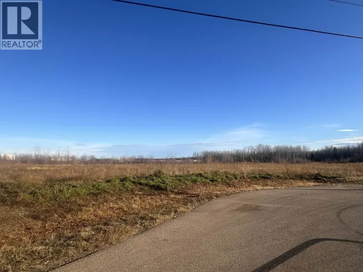 4508 WOODS COURT, Fort Nelson