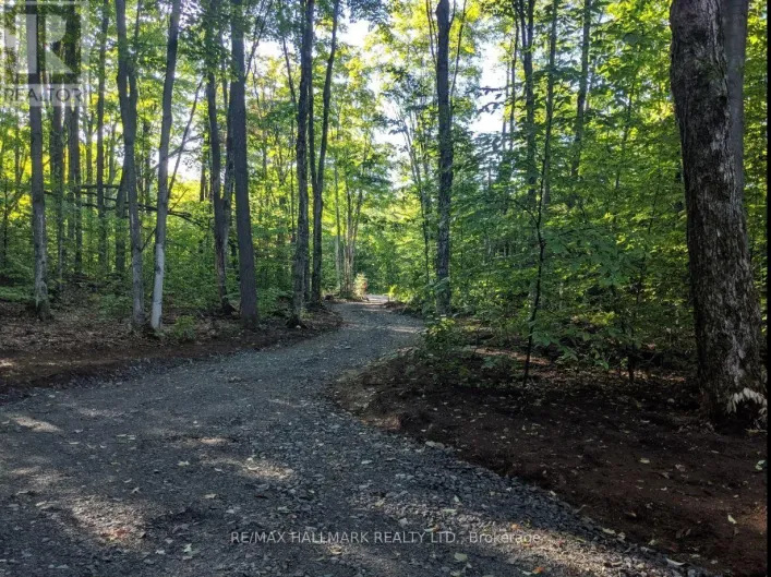 458 WHITE HOUSE ROAD, Huntsville