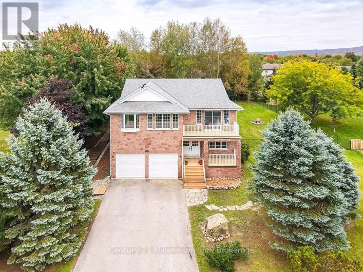 46 DONALD AVENUE, Clearview