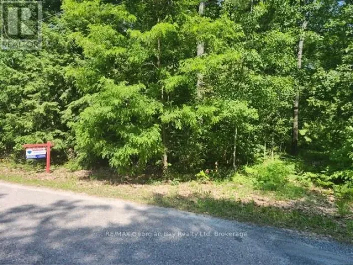 46 OAKWOOD AVENUE N, Tiny