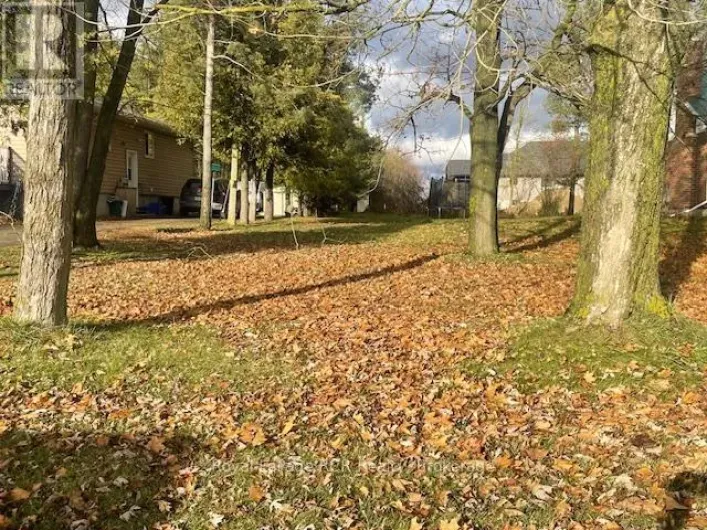 460B DOMVILLE STREET, Wellington North