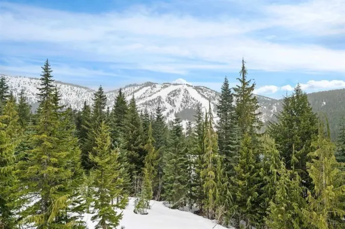 47065 SNOWMIST DRIVE, Mission