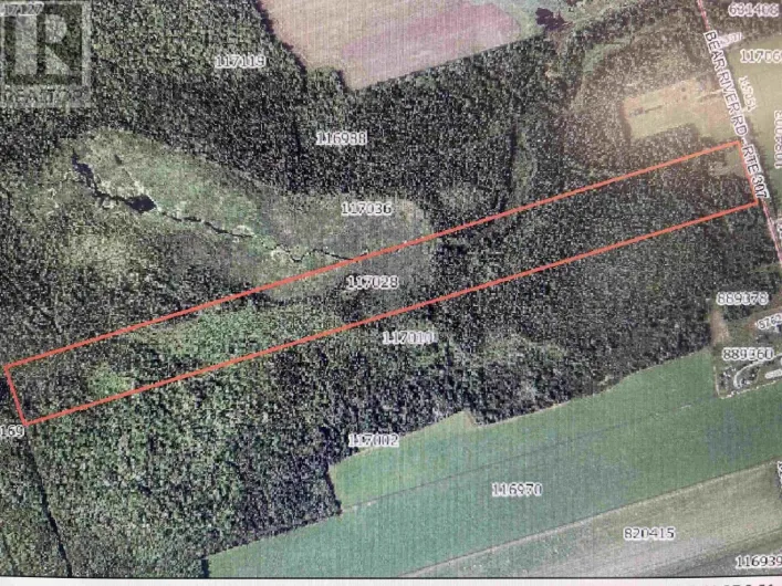 479 Bear River Road, Bear River