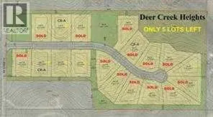 48033 295 Avenue E, De Winton