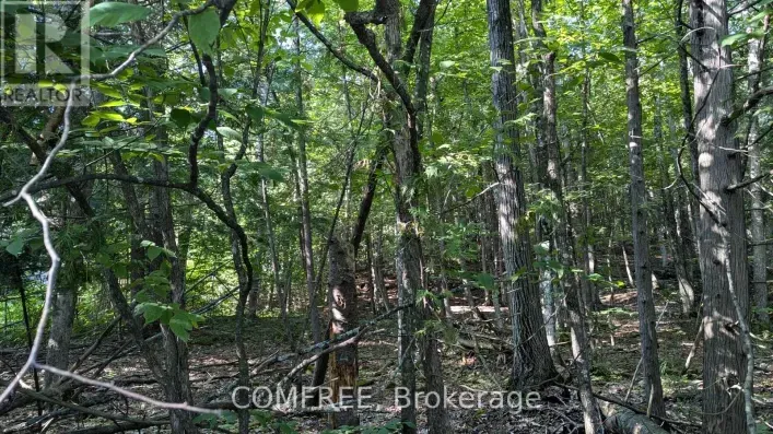 4853 OPEONGO ROAD, Ottawa