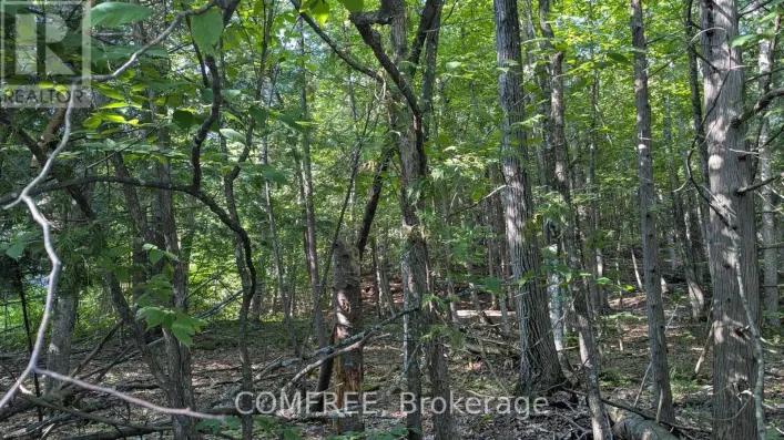 4853 OPEONGO ROAD, Ottawa