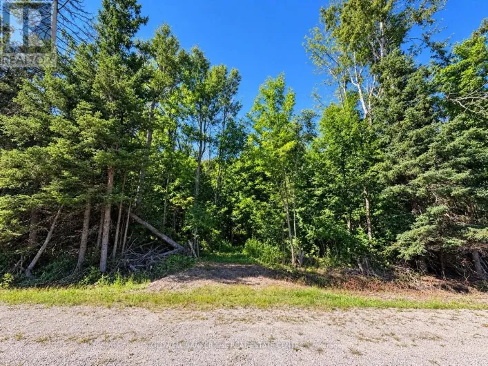 4896 PENETANGUISHENE ROAD, Springwater