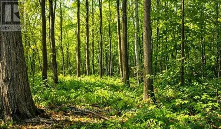 49 CEDAR SANDS ROAD, Rideau Lakes