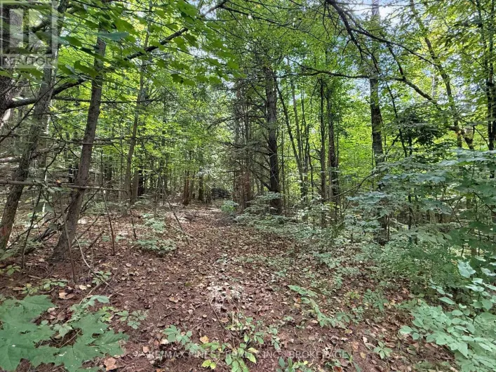 4900 COUNTY RD 4, Stone Mills