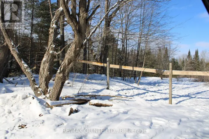 494 TWIN SISTER LAKES ROAD, Marmora and Lake