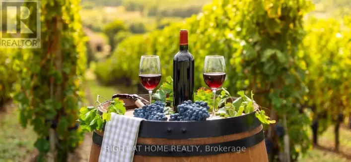 5 - 3220 DUFFERIN STREET, Toronto