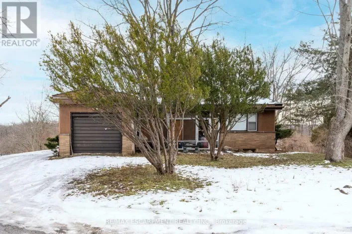 5 HOMESTEAD AVENUE, Hamilton