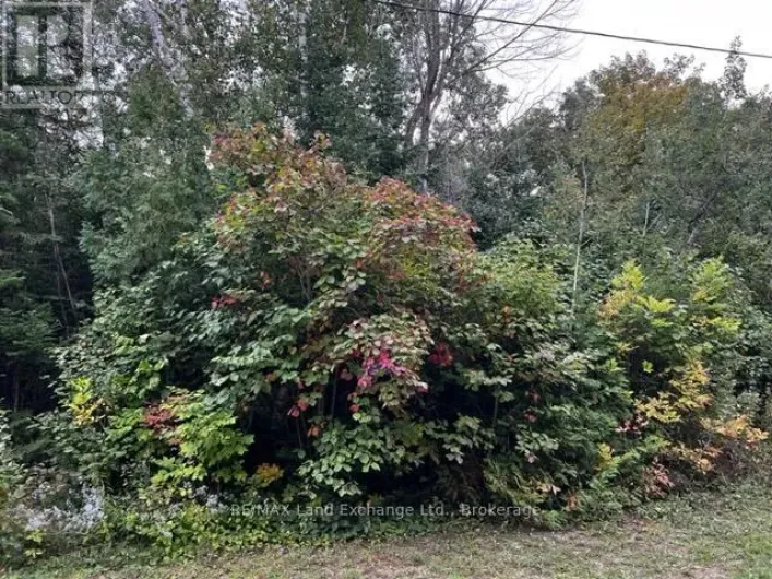 5 SHORE ROAD, Saugeen Shores