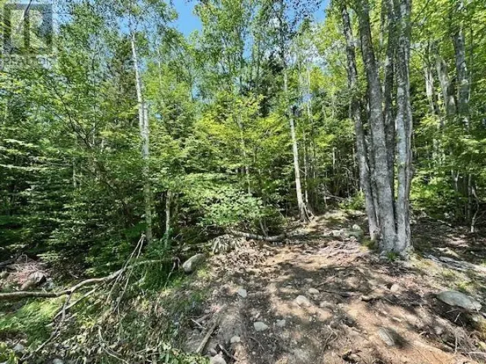 5 St Joseph Street, Labelle