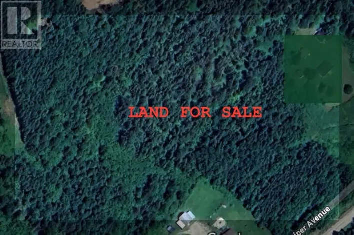 50 a Juniper Avenue, Cormack