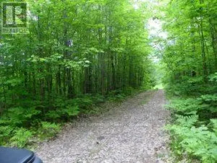 50 ACRES IN MUSKOKA NORTH OF BALA - PCL 31045, Muskoka Lakes