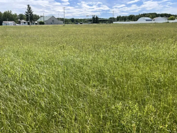 5002 50 Street, Rural Brazeau County