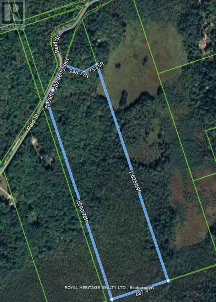 506 REID STREET, Trent Lakes