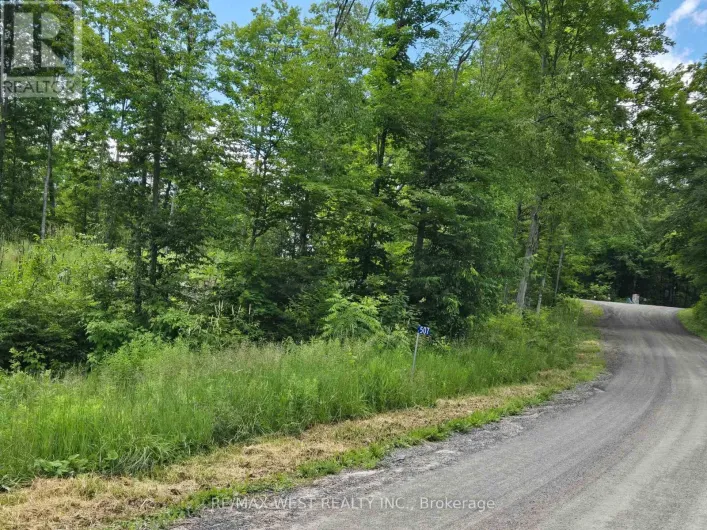 507 BLACK RIVER ROAD, Tweed)