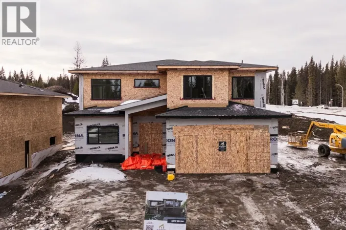 5101 HEADLANDS HEIGHTS, Prince George