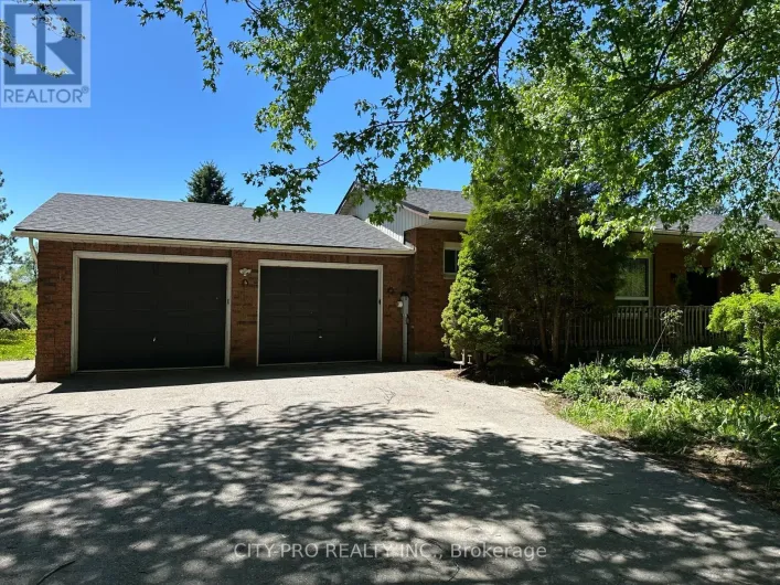513370 2ND LINE, Amaranth