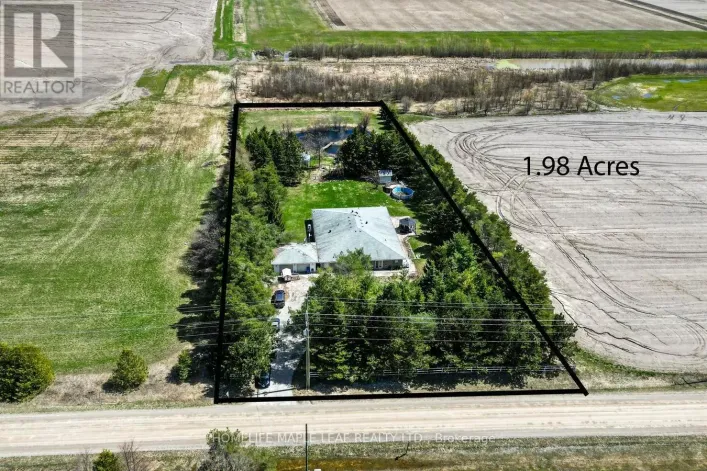 514249 2ND LINE, Amaranth