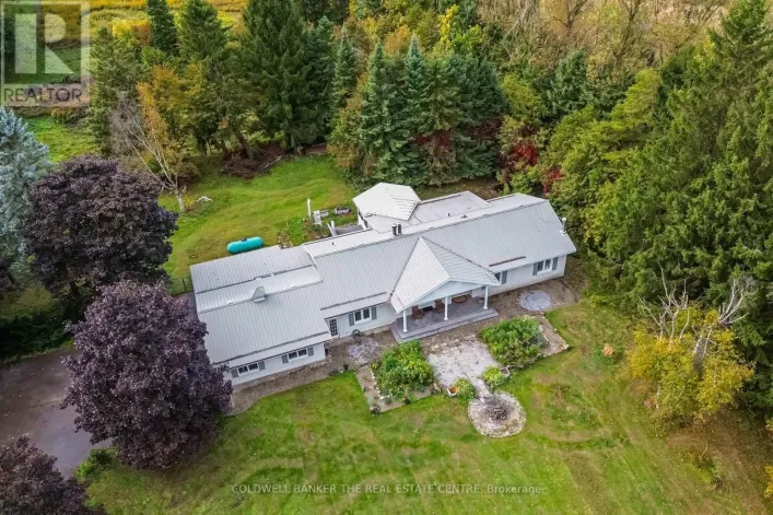 515490 2ND LINE, Amaranth