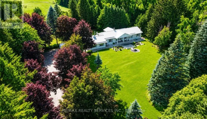 515490 2ND LINE, Amaranth