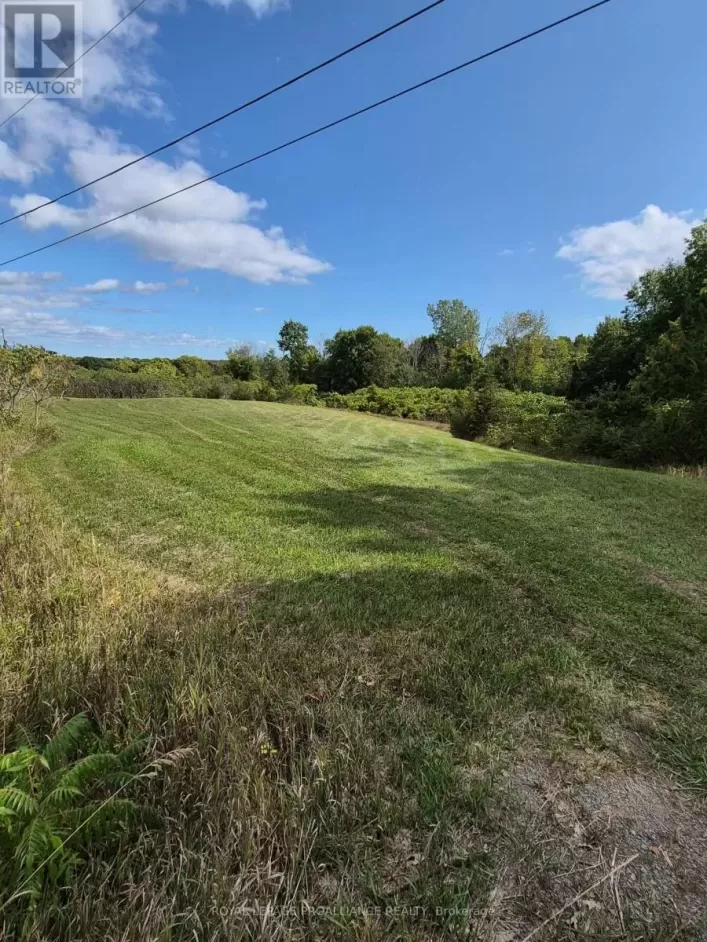 517 DOWNS ROAD, Quinte West