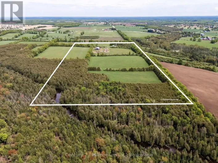 525197 ARTEMESIA EUPHRASIA TOWNLINE, Grey Highlands