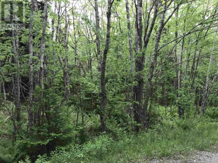 53.03 Acres Highway 308 Highway, Belleville