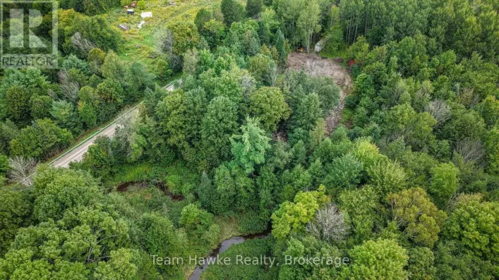 5493 MCMANN SIDE ROAD, Tay