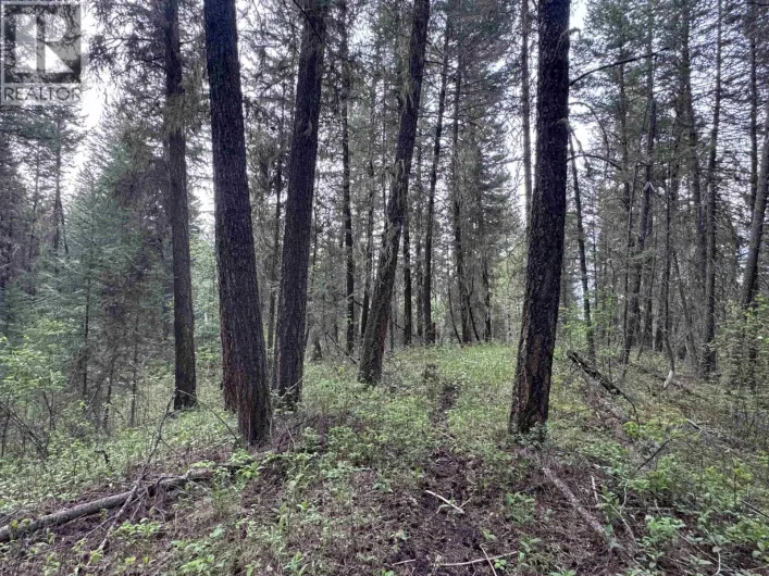 550 DOG CREEK ROAD, Williams Lake