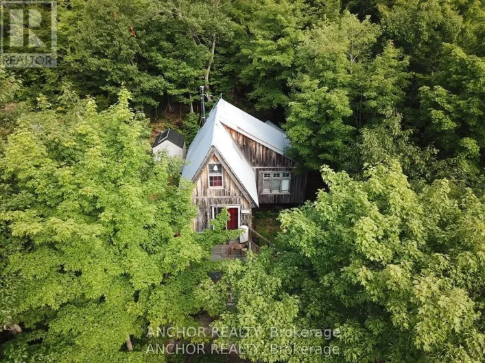 550 SHAWANAGA LAKE, McDougall